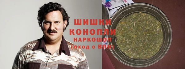 индика Абинск
