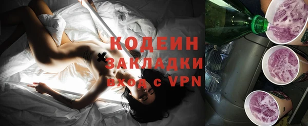 индика Абинск