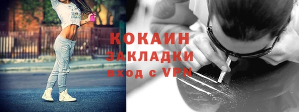 индика Абинск