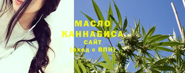 индика Абинск