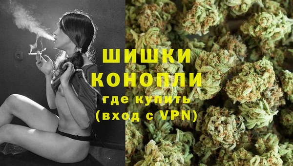 винт Новозыбков